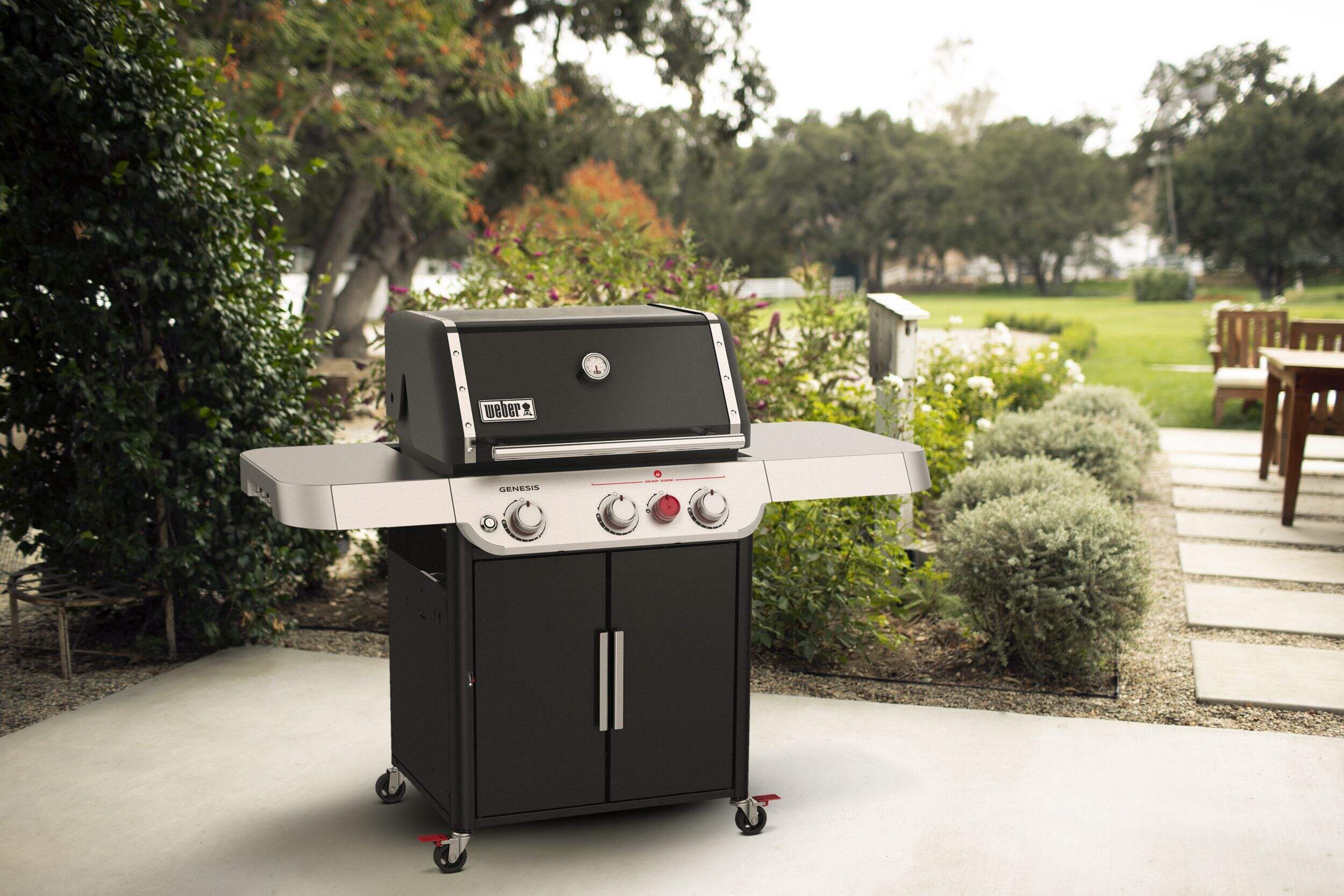 Weber Q Genesis E-325s Weber Q Genesis E-325s