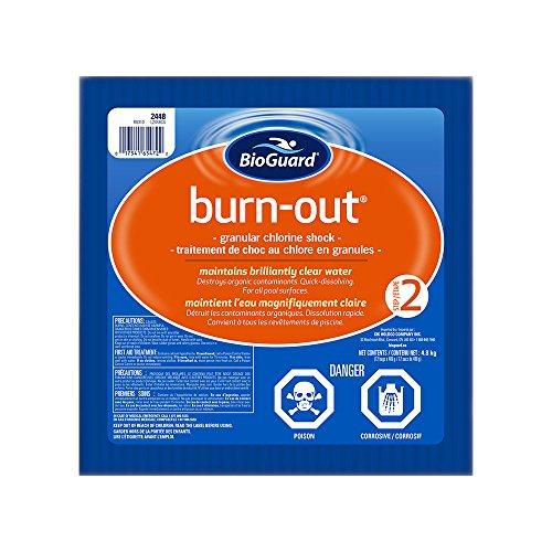 BioGuard Burn-Out® (12x400gm Bags) (P/N: 2448)